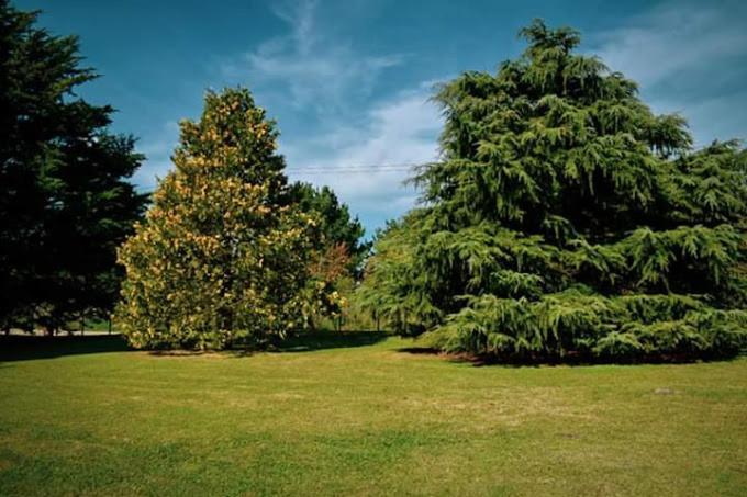 Village Park Tandil Esterno foto